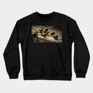 Ducklings At Leazes Park Lake Crewneck Sweatshirt